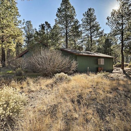 Family-Friendly Forested Home With Snow Play Area! Flagstaff Bagian luar foto